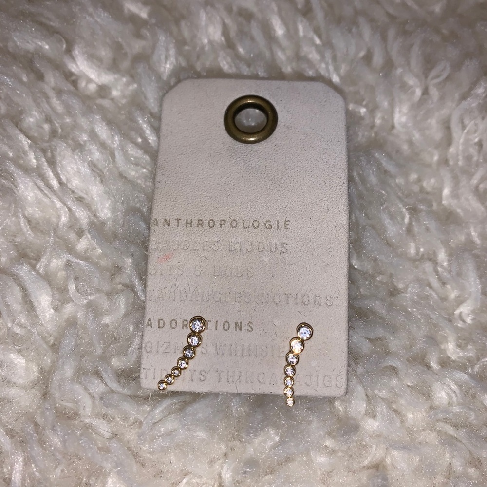 Anthropologie Earrings